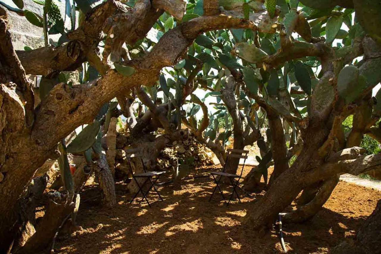 Masseria Celano Grottaglie Dış mekan fotoğraf